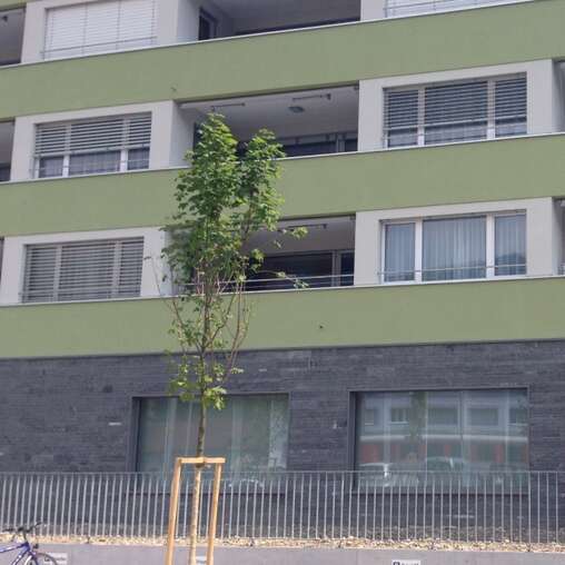 Sockelgeschoss Stoneface Naturstein Osernone bruchroh